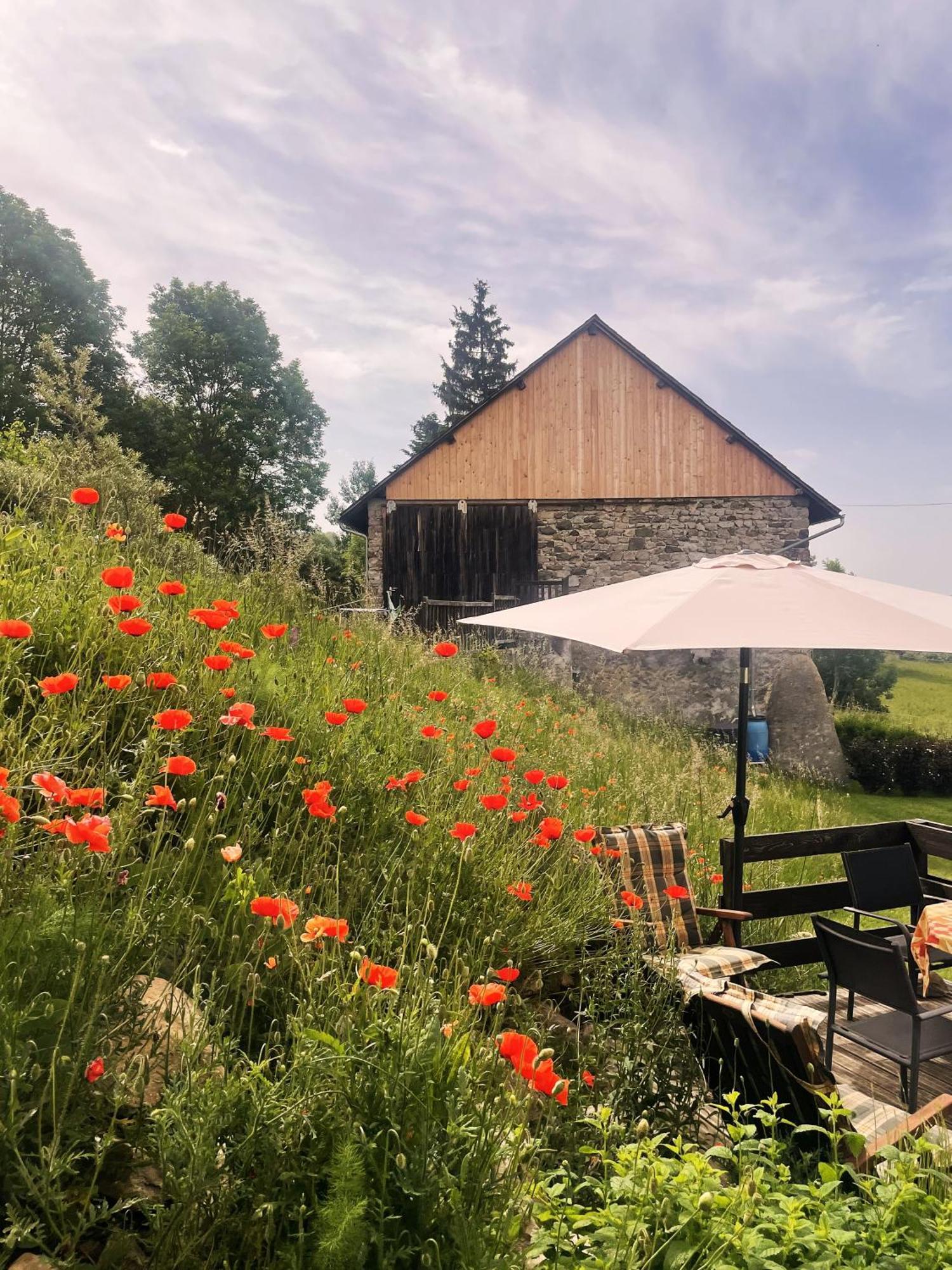 B&B Maisonnel Saint-Bonnet-en-Champsaur Buitenkant foto